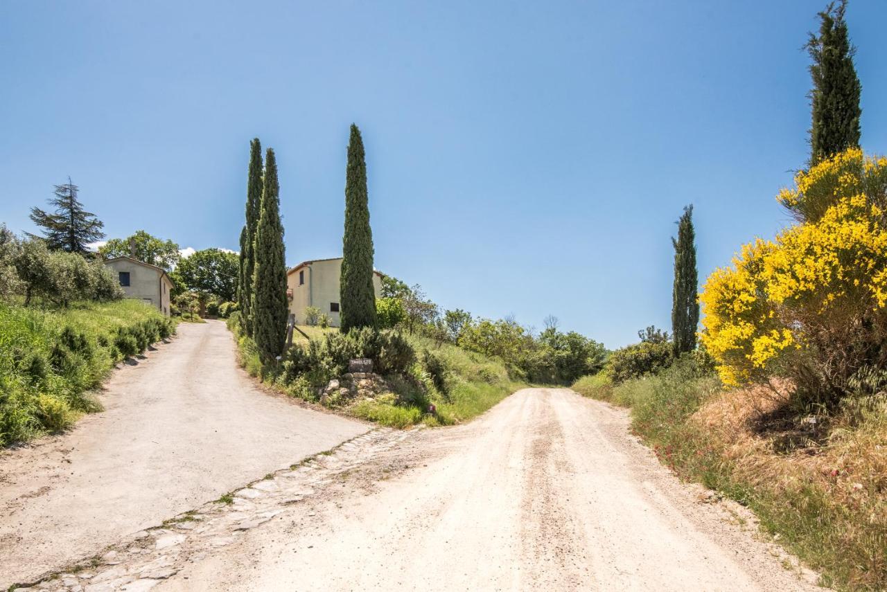 Appartamento Gemma Bianca-Tavoleto Castiglione dʼOrcia Buitenkant foto
